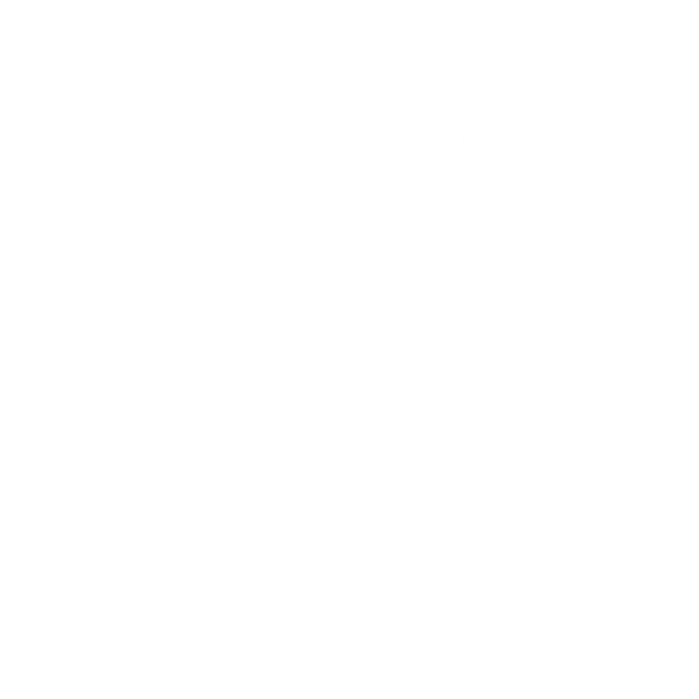 Leebit's Tours