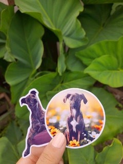 Stikers personalizados de mascotas - TULIA