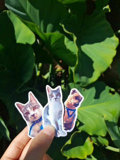 Stikers personalizados de mascotas