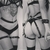 HARNESS - comprar online