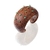 Bracelete Amazônia - comprar online