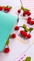 CLIPS CEREJINHA - comprar online