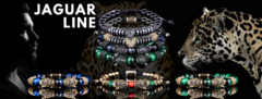 Banner for category Jaguar line