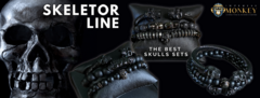 Banner for category Skeletor line