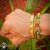 Set 3 pzas. Pulsera y brazaletes tema jaguar con zirconias, baño de oro 18k. (rojo/verde/dorado)