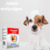 Asuntol jabón antipulgas para perro en internet
