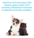 Pipeta Antipulgas Contra Pulgas Y Garrapatas Perro Y Gato .5ml - comprar en línea