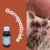 Asuntol 100ml elimina pulgas garrapatas - comprar en línea
