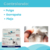 Pipeta Antipulgas Contra Pulgas Y Garrapatas Perro Y Gato .5ml - TiendaShop GDL