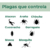 Imagen de Veneno Para Chinches Repelente Arañas Hormigas Crucial 950ml