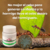 Veneno contra hormiga Patron 100g - TiendaShop GDL