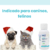 Desparacitante parafen 60ml - TiendaShop GDL