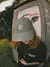 BONÉ DAD HAT SOMETIMES MY DUDE - comprar online