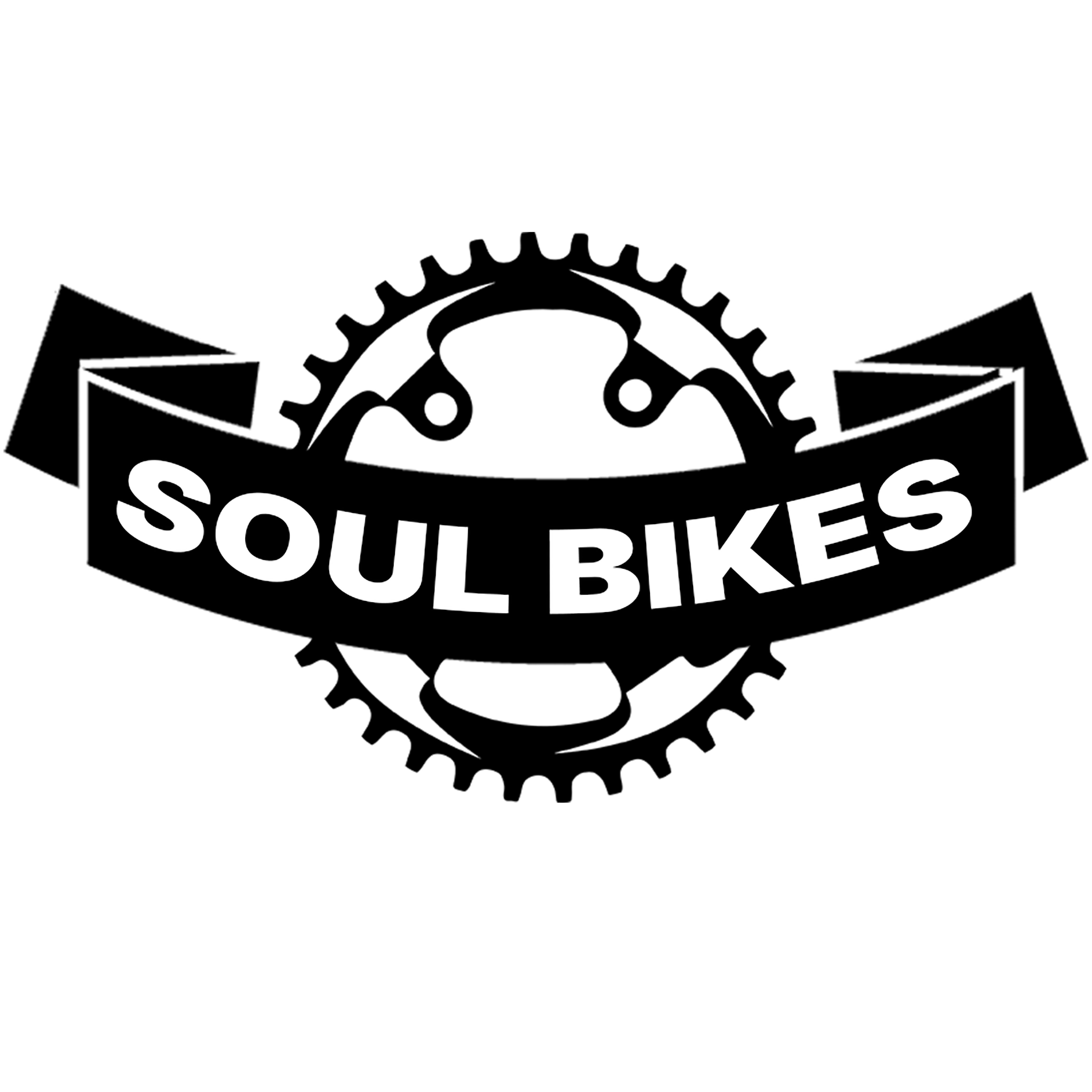 SOUL BIKES