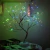 Imagem do Luz Árvore Estelar