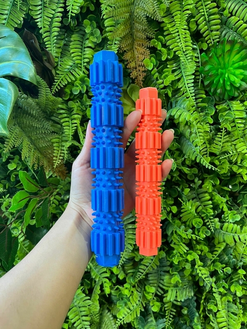 Brinquedo Interativo
