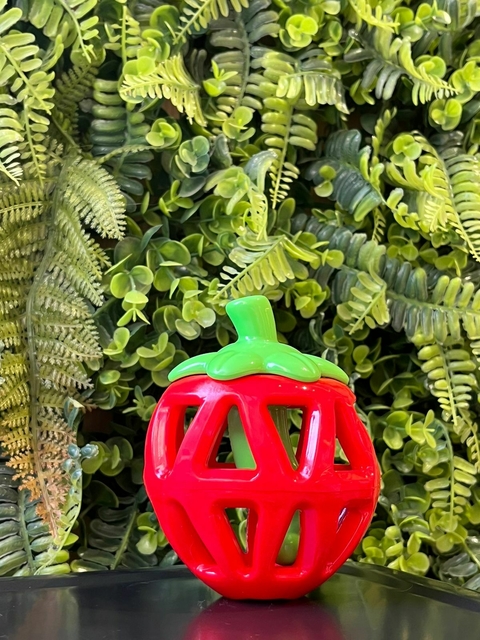 Brinquedo Interativo