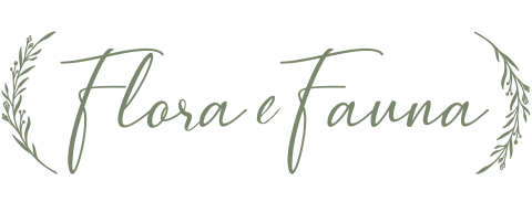 Flora e Fauna  