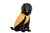 Capa Dorado "BARILOCHE" - comprar online