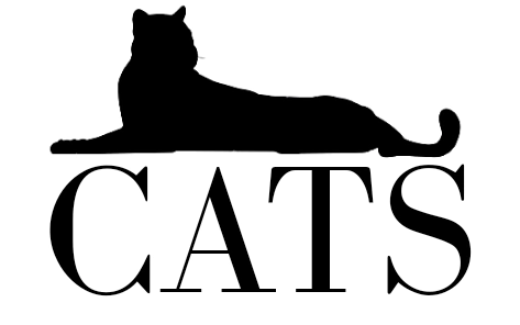 Cats Lingerie