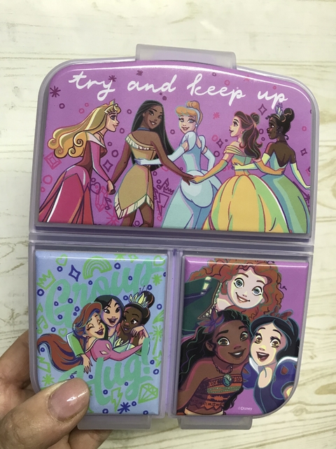 Vianda Princesas