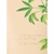 Afternoon Light - Victoria's Secret Body Lotion - Hidratante Corporal 236ml na internet