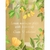 Afternoon Light - Victoria's Secret Body Spray - Spray Corporal Perfumado 250ml na internet