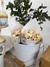 Imagen de Baby Shower Greenery