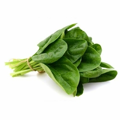 ESPINACA