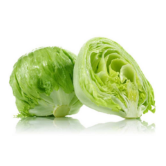 LECHUGA CAPUCCINA