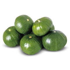 ZAPALLITO