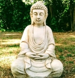 Buda meditando