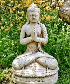 Buda Rezando.
