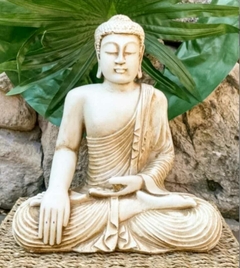 Buda Roma.