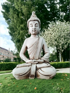 Buda Tarragona.