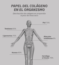 Colágeno Flex 250g en internet