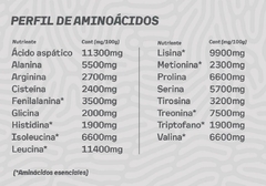 Whey protein concentrada chocolate 750g - tienda online