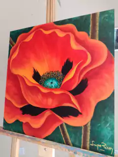 "Amapola roja" en internet