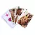 BARALHO KAMA SUTRA SUPER EROTICO MISS COLLECTION - comprar online