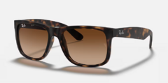 JUSTIN - Carey/Marron - comprar online