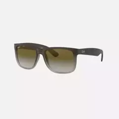 JUSTIN - Carey degrade/Marron - comprar online