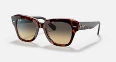 STATE STREET - Carey/Marron degrade - comprar online