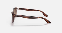 LADY BURBANK - Carey/Marron degrade - Ray-Ban Importados ®