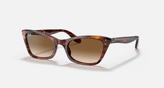 LADY BURBANK - Carey/Marron degrade - comprar online