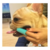 Cepillo De Dientes Dedal Para Mascotas Limpieza Bucal - comprar online