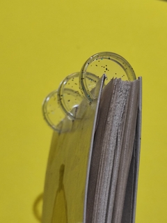 Cuaderno de Capibarita - Michi Amor y Papel