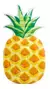 FLOTADOR PIÑA - comprar en línea