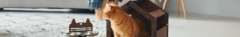 Banner de la categoría Mascotas