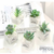 Pack x12 Suculentas Artificiales en Maceta de Vidrio – Mini Decoración Premium - comprar online