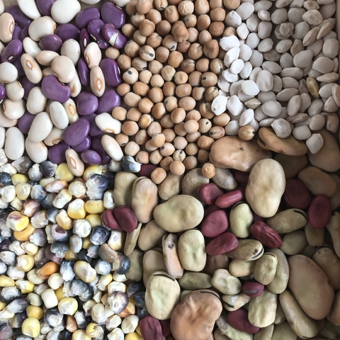 Mix Abundancia x frijoles- maiz- habas y arveja - comprar en línea